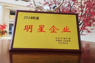 新春新景新氣象 | 景興紙業(yè)在平湖三干大會上喜摘榮譽(yù)！